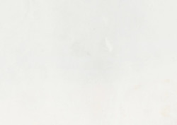 Bianco P