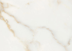 Calacatta Classico