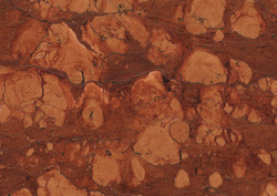Rosso Mangiaboschi