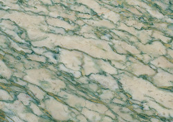 Verde Chassagne