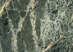 Rain Forest Green