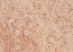 Travertino Scabas