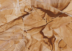 Teak Wood