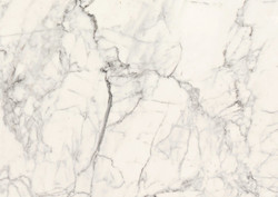 Bianco Venatino