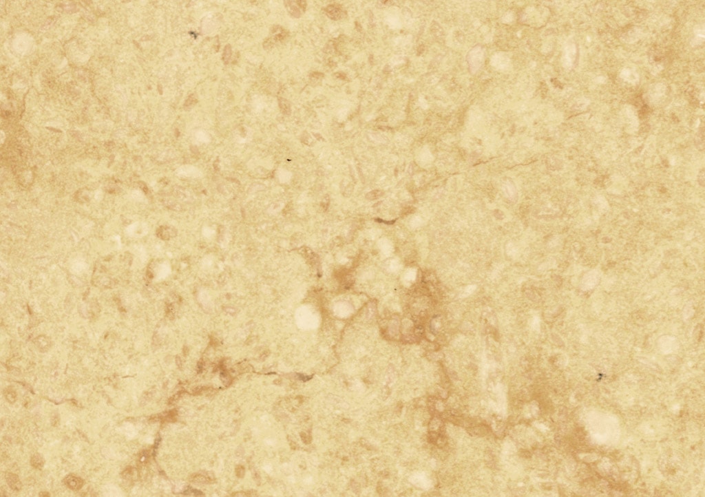 Giallo Cleopatra